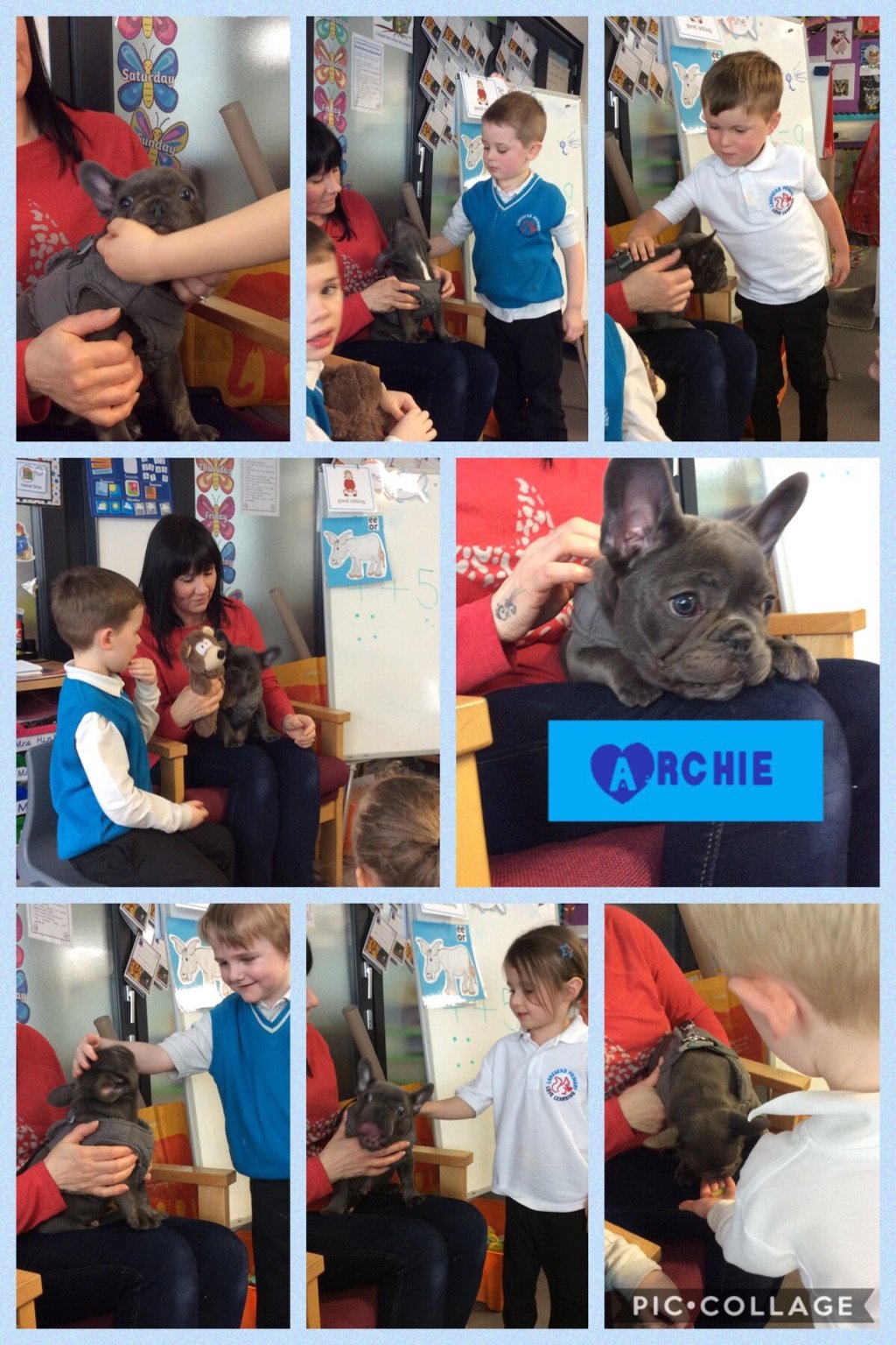 Reception had a visit from Archie the puppy!