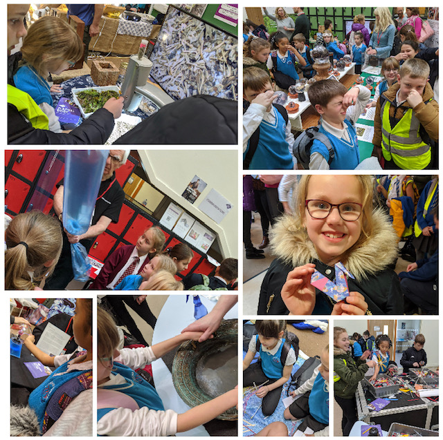 Year 5 Science Festival